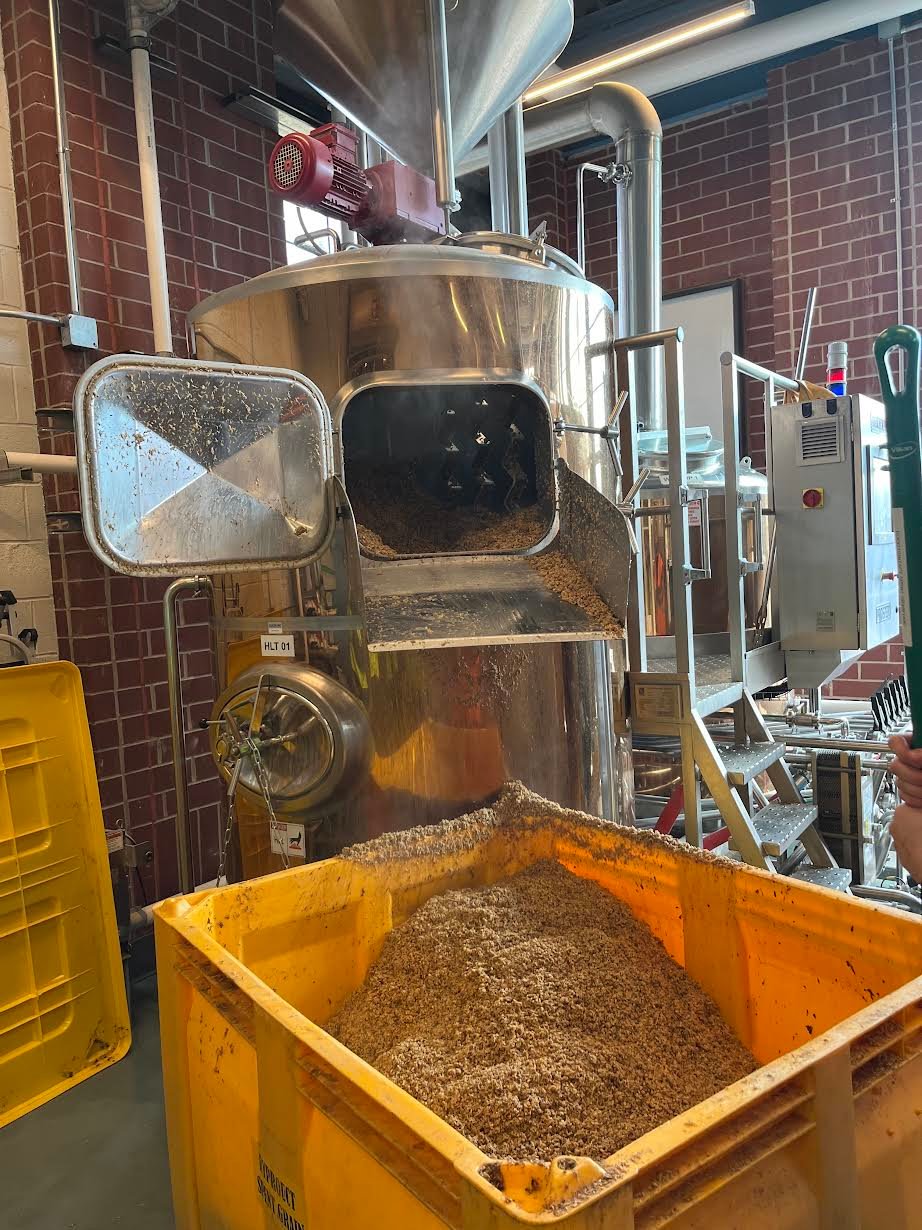To help limit the amount of wasted produced, the Blue Point Brewery harvests their spent grains and yeast.